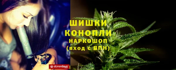 ПСИЛОЦИБИНОВЫЕ ГРИБЫ Арсеньев