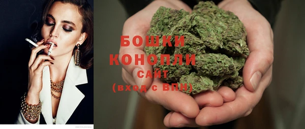 ПСИЛОЦИБИНОВЫЕ ГРИБЫ Арсеньев
