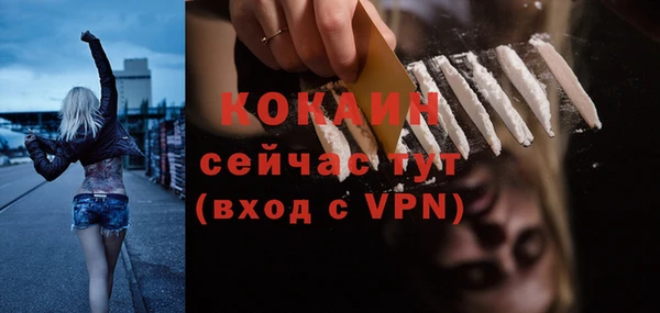 прущие грибы Аркадак