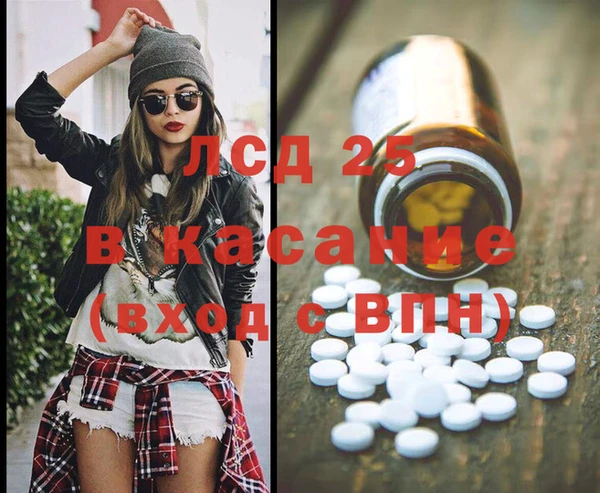 прущие грибы Аркадак