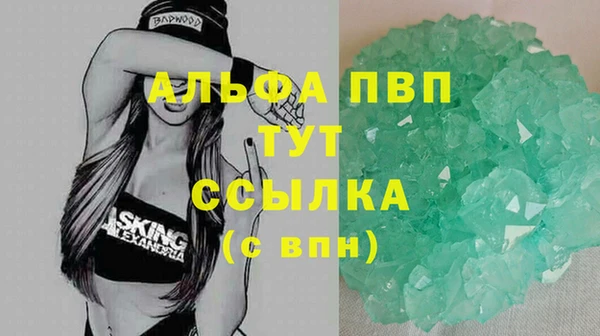 прущие грибы Аркадак