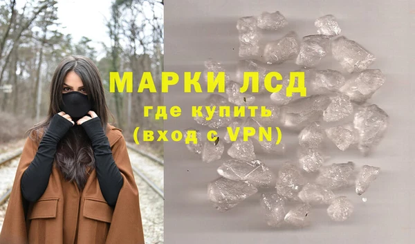 ПСИЛОЦИБИНОВЫЕ ГРИБЫ Арсеньев