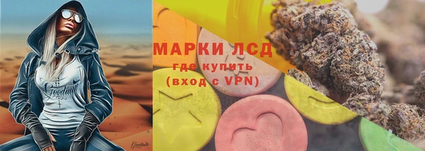 прущие грибы Аркадак