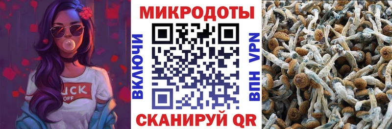 Галлюциногенные грибы Psilocybe  Снежинск 